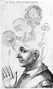 Fysiognomiakuva (frenologia) Robert Fluddin (Robertus de Fluddin) kerätyistä teoksista. Lontoo 1617 tekijältä Unknown artist