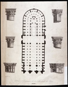 Pariisin Notre Damen (Notre-Dame) katedraalin suunnitelma ja pääkaupungit. 1800-luvulla. tekijältä Unknown artist