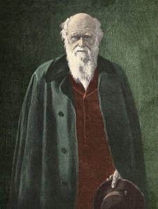 Charles Darwinin muotokuva (1809 - 1882) tekijältä Unknown artist