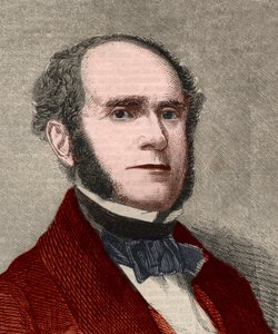 Fitz-Greenen (Fitz Greene) Halleckin (1790-1867), yhdysvaltalaisen runoilijan muotokuva. Kaiverrus 23. tammikuuta 1858 julkaistuun kuvitettuun London News -lehteen. tekijältä Unknown artist