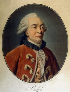 Georges Louis Leclercin muotokuva, Buffonin kreivi (1707 - 1788), ranskalainen luonnontieteilijä ja kirjailija. tekijältä Unknown artist