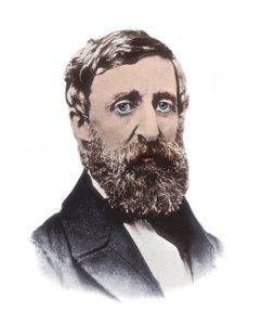 Henry David Thoreaun (1817-1862) muotokuva - yhdysvaltalainen esseisti, runoilija, filosofi, abolitionisti, luonnontieteilijä, veronvastustaja, kehityskriitikko, katsastaja ja historioitsija tekijältä Unknown artist