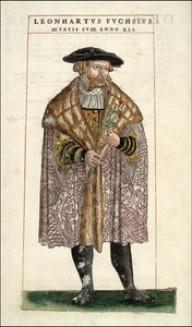 Muotokuva Leonhart Fuchsista: kasvitieteilijä - saksalainen lääkäri (1501 - 1566) - Leonhart Fuchsin "" Of History Stirpium commentarii -merkit,..." tekijältä Unknown artist