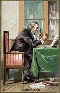 Muotokuva Louis Jean Marie Daubentonista, dit Daubenton (1716 - 1800), ranskalainen luonnontieteilijä. 1800-luvun kromolitografia. tekijältä Unknown artist