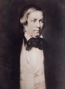 Robert Schumannin muotokuva (kaiverrus) tekijältä Unknown artist