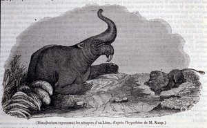 Esihistoria: Dinotheriumin esitys, pachynahkatyyppi, leijonan hyökkäyksen torjuminen. Kaiverrus 1800-luvulta tekijältä Unknown artist
