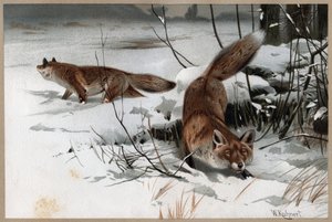 Kukat tekijältä Unknown artist