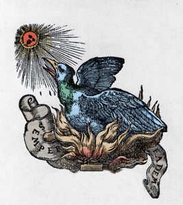 Esitys Fenixistä (tai Feeniksistä), legendaarisesta linnusta, joka syntyi uudelleen tuhkasta. Kaiverrus 1800-luvulta tekijältä Unknown artist