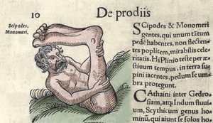 Sciapod-hirviön esitys Wolfhartin (Conrad Lycosthene) "The Book of Monsters and the Chronicle of Basileae" -kaiverrus tekijältä Unknown artist
