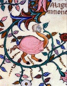 Esitys hirviöstä, jolla on strutsin ruumis ja ihmispää. Miniatyyri 1300-luvun käsikirjoituksesta. Milano, Biblioteca Nazionale Braidense. tekijältä Unknown artist