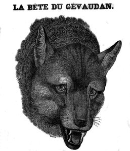 Bete du Gevaudanin edustus. tekijältä Unknown artist