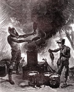 Kumin valmistus tai vulkanointi Brasilian metsässä tekijältä Unknown artist