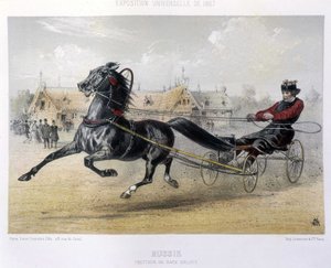 Venäjä: Orloff-rotu raviaja - elokuvassa "" The Centaur"" 1867 tekijältä Unknown artist