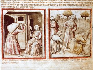Ruth ja Noemi (Naomi, Noemie) työskentelevät Boazin (Booz) kentällä Miniatyyri koodista 212 (tai padovano codex tai Bible of Padova) 1390-1400 Rovigo, Accademia dei Concordi tekijältä Unknown artist