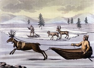 Saamelaiset: pohjoisten maiden (Norja, Suomi, Ruotsi ja Venäjä) mailla asuvat alkuperäiskansat liikkuvat porokellalla tai suksilla. Kaiverrus 1800-luvulta tekijältä Unknown artist