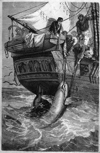Hain kalastus. (Pesca allo squalo) 1800-luvun kaiverrus. Yksityinen kokoelma. tekijältä Unknown artist