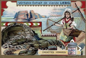 Katkarapu ja hummeri, nuori kalastaja nainen kantamassa koriaan ja suurta verkkoa - Liebig kromolitografia tekijältä Unknown artist