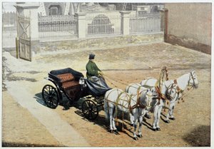 Kesätroika - valokuvaus, 1800-luvun loppu tekijältä Unknown artist