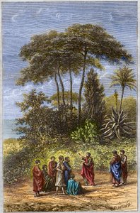 Pythagoraan koulu - Pythagoras oppilaidensa joukossa Krotonassa - kaiverrus 1879 - Filosofi Pythagoras ja hänen opetuslapsensa Crotonen varjossa, kaiverrus vuodelta 1879 tekijältä Unknown artist