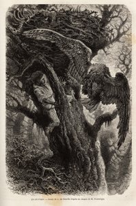 Kotka suojelee pesäänsä tunkeilijalta. Kaiverrus havainnollistamaan tarinaa Quatre mois en Florida, M. Pousselgue, 1851-1852, julkaistu "" le tour du monde" -julkaisussa, D
