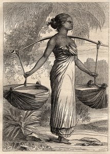 Kapteeni Etienne Marchandin (1755-1793) retkikunta maailman ympäri (1790-1792): veden kuljettaja Timorissa (Itä-Timor, Indonesia) -kuva otettu teoksesta "1700-luvun suuret merenkulkijat" tekijältä Unknown artist