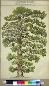 Mihail Lermontovin (1814-1841) sukupuu tekijältä Unknown Artist