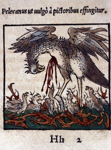 Pelikaanin legenda: hän antaa verensä ja suolinsa ruokkiakseen poikasia. Historiae animalium, Konrad Gesner, Tiguri tekijältä Unknown artist