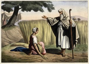 Ruutin ja Boaksen (Booz), Israelin kuninkaan Daavidin (1000-972 eKr.) isovanhempien tapaaminen. Anonyymi kaiverrus 1800-luvun puolivälistä. tekijältä Unknown artist