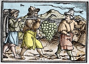 Joosuan ja Kaalebin paluu valtavalla viinirypäleterällä Kanaanin maasta (luvattu maa). Johann Stumpffin kronika "" Den edlen strucen besten fromen"" tekijältä Unknown artist