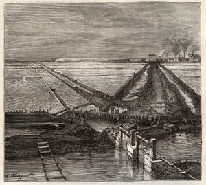 Giraudin suolaso ​​Camarguessa (Bouches-du-Rhone), näkymä palvelukanavasta - Louis Figuierin kaiverrus Les Merveilles de l