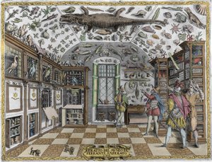 Näkymä farmaseutti Ferrante Imperaton (1550 - 1631) kurioosien museosta (kabinetista) (ensyklopedinen museo). Kaiverrus vuodelta 1678. Napolilaisen apteekin Ferrante Imperaton museo. tekijältä Unknown artist