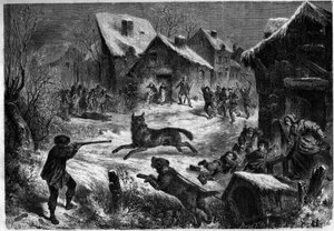Susimetsästys Saliersin kylässä Bouches du Rhonessa (13), 31. joulukuuta 1860. Kaiverrus julkaisussa "" Le Monde Illustré" n¡196, 12. tammikuuta 1861. tekijältä Unknown artist