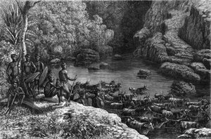 Zulouland Afrikassa: koska metsä ei tarjoa tarvittavia resursseja, Zulu-heimon on mentävä alas tasangoille, joissa he viljelevät ja kasvattavat karjaa. Kaiverrus "" La Nature"" tekijältä Unknown artist