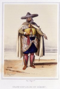 aavikon suuri arabikokki 1800-luvun jälkipuoliskolla. tekijältä Unknown artist
