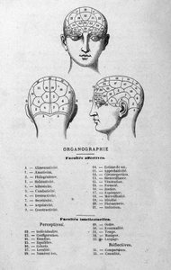 kuvitus Charles Rouvinin kirjasta 1873 Organographie La Tête humaine, kuvitettuja frenologiaa ja fysionomiaa koskevia tutkimuksia sovellettu kuuluisiin hahmoihin Paris 1873 tekijältä Unknown artist