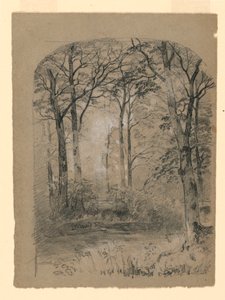 Piirustus, Metsämaisematutkimus, 1865-70 tekijältä Unknown artistUnknown artist
