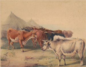 Um rebanho de Cattlefinnish tekijältä Unknown artist