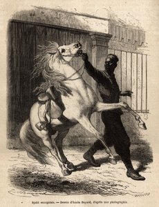 Senegalilainen spahi (cavalier) Saint-Louis