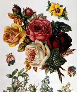 Kimppu ruusuja. 1800-luvun kromolitografia. tekijältä Unknown artist