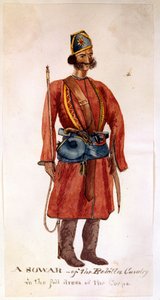 Rohillan ratsuväen sowar tekijältä Unknown artist