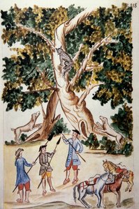 Villikissa istuu puussa, metsästäjät odottavat sitä Baltazar Martinez Companionin ja Trujillon piispan (1782-1785) Bujandan kirjasta "Trujillo del Peru" tai "Codex Martinez Companion" tekijältä Unknown artist