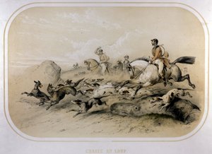 Susien metsästys. 1800-luvun kaiverrus. tekijältä Unknown artist