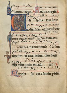 Antiphonal tekijältä Unknown artist