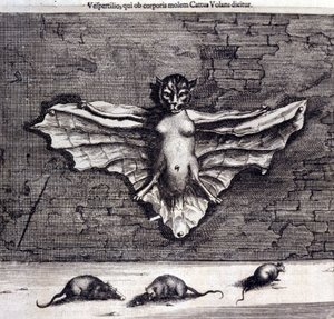 Lepakot ja rotat. Athanasius Kircherin "De China Monumenta". tekijältä Unknown artist