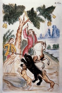 Karhunmetsästys, kirjasta "Trujillo of Peru" tai "Codex Martinez Companion", kirjoittaneet Balthazar Martinez Companion ja Bujanda, Trujillon piispa (1782-1785) tekijältä Unknown artist