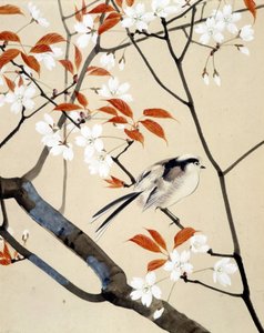 Lintu ja kirsikkapuu kukkivat - Riou Chimin japanilainen piirros, 1800-luvun loppu tekijältä Unknown artist