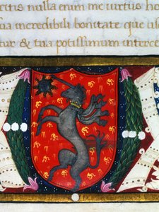 Blazon koristaa yksisarvisen, tähden punaisella pohjalla. Miniatyyrin yksityiskohta. 1300-luvulla tekijältä Unknown artist