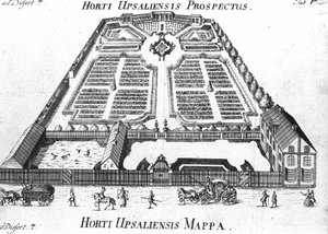 Kasvitieteellinen puutarha - HORTI UPSALIENSIS tulevaisuus ja suunnitelma. tekijältä Unknown artist