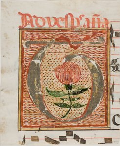 Koristeltu alkukirjain "T" ja kukka käsikirjoituksesta tekijältä Unknown artist