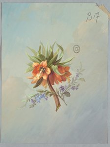 Suunnittelu tapeteille ja tekstiileille: Kukat tekijältä Unknown artist